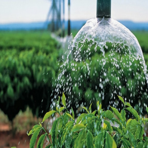 6239f3fad1da9_agriculture-et-stress-hydrique