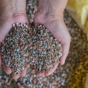 Engrais-chimique-NPK-azote-phosphore-et-potassium-495x400