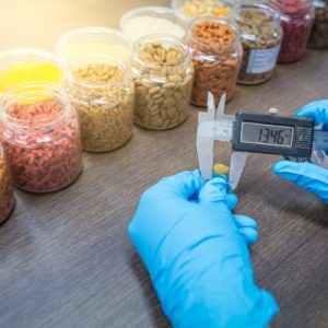 shutterstock_1187069101-1280x853-1-495x400